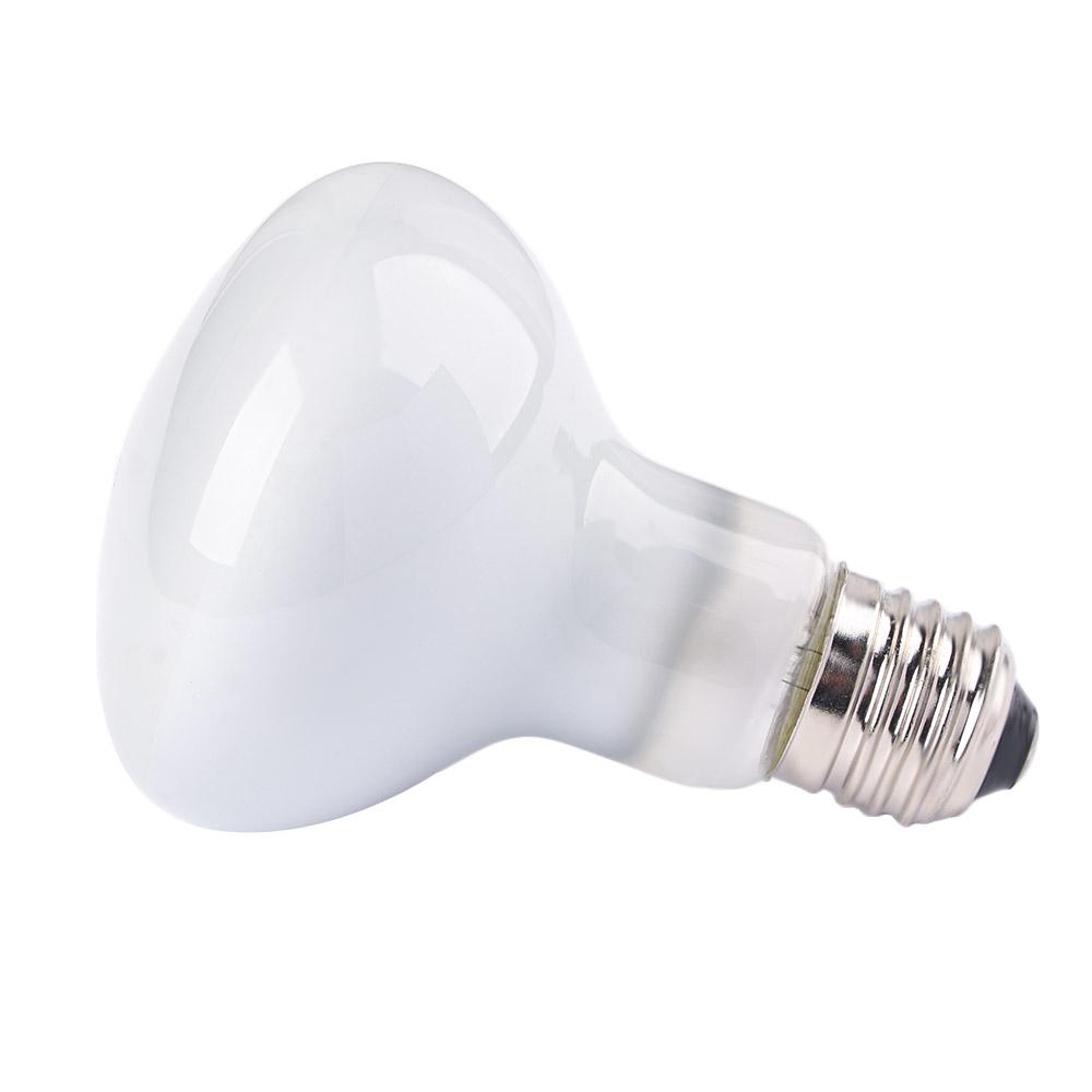 Basking Bulb Halogen - Regulator temperatury dla płazów, grzejnik, żarówka