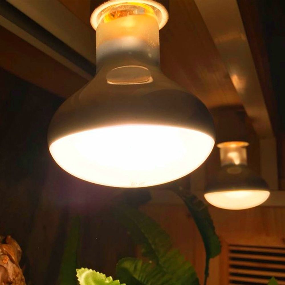 Żarówka halogenowa dla płazów, – Basking Bulb Halogen recenzja i cena