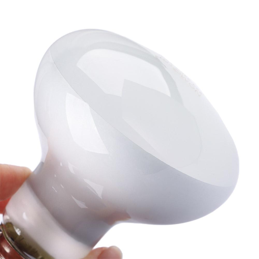 Lampa grzewcza dla żółwi, lamp – Basking Bulb Halogen recenzja i cena