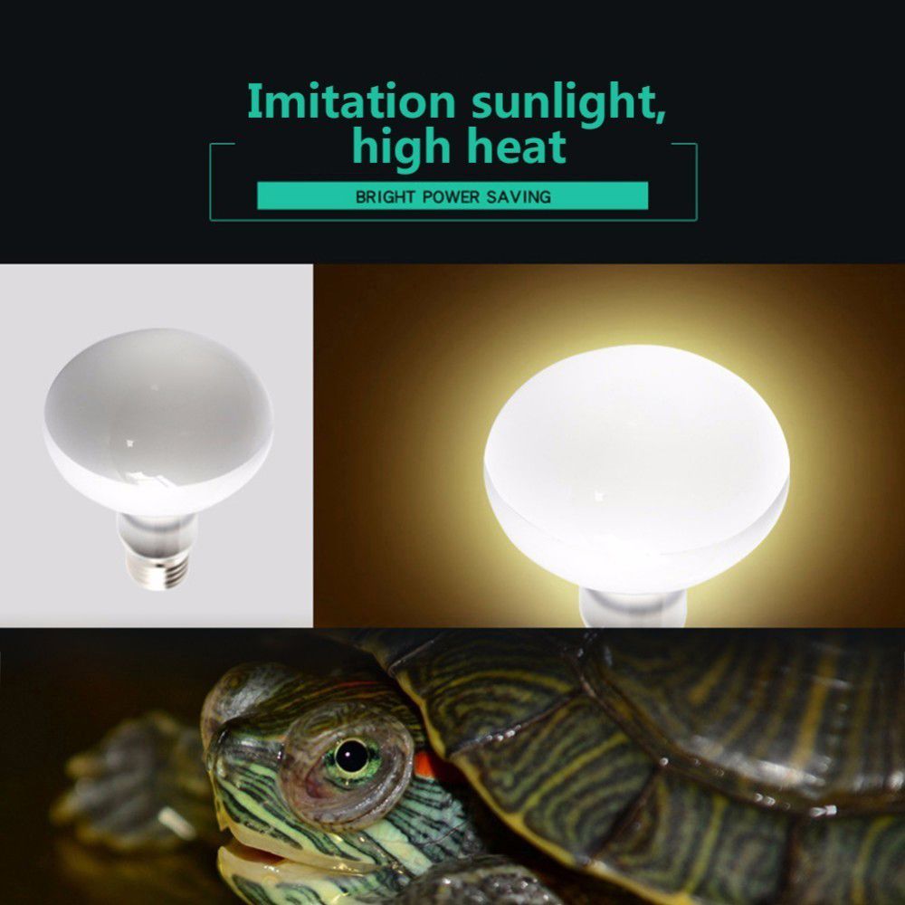 Regulator temperatury dla żółw – Basking Bulb Halogen recenzja i cena